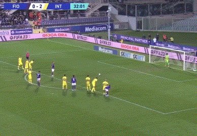 灰熊逆转送 灰熊逆转送